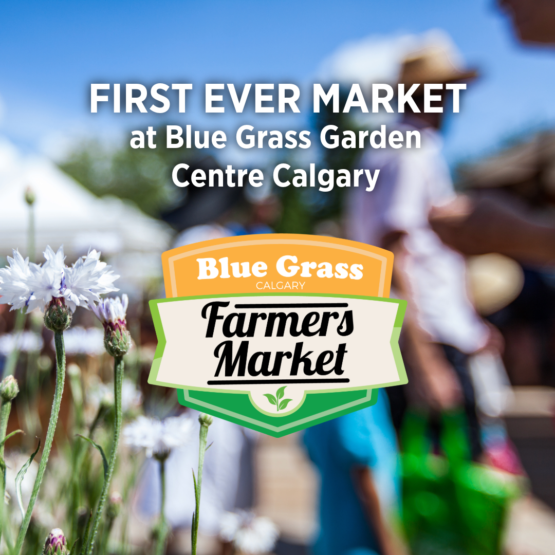 August Farmers Market at Blue Grass Garden Centre