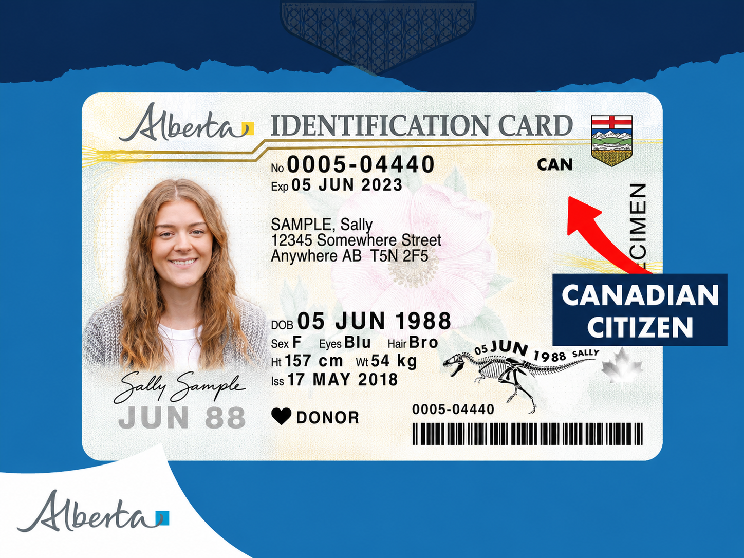 Alberta to Add Health Care Numbers and Citizenship Status to Driver's Licences