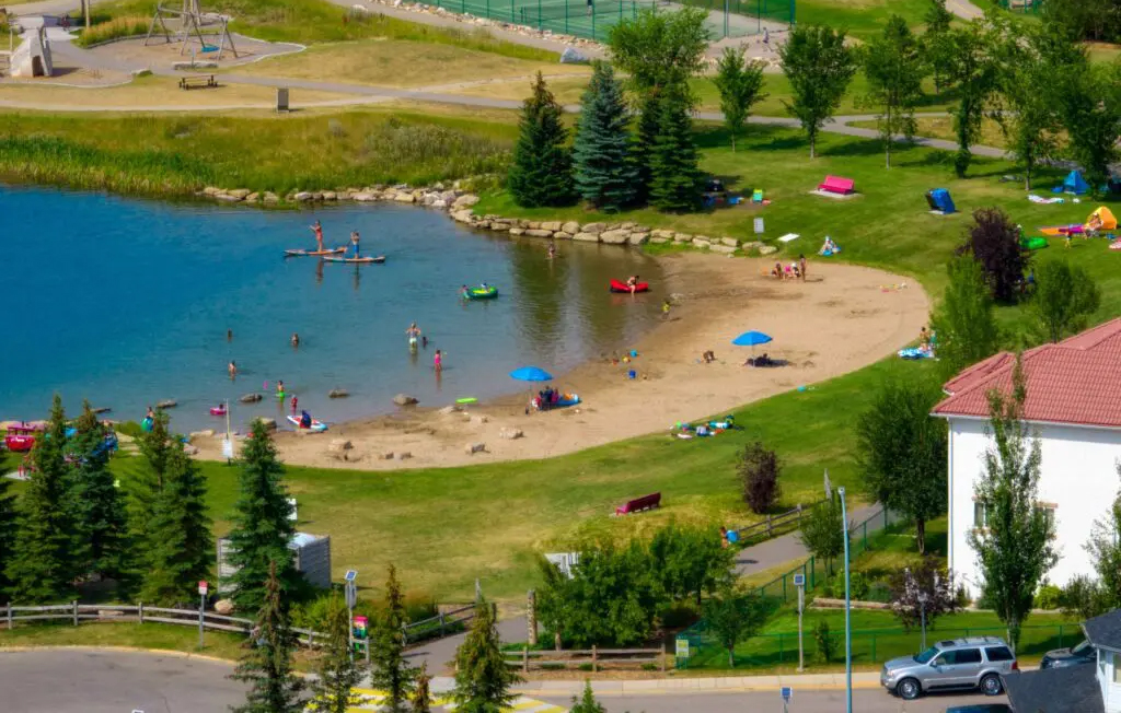 Residents urged to keep pet goldfish out of Chestermere waterways