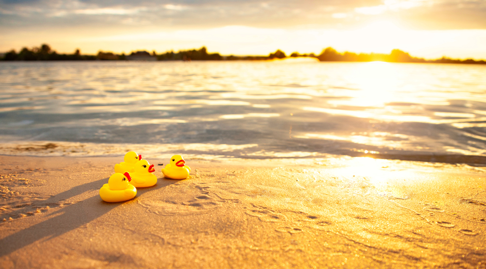 Synergy’s Amazing Duck Race brings community together